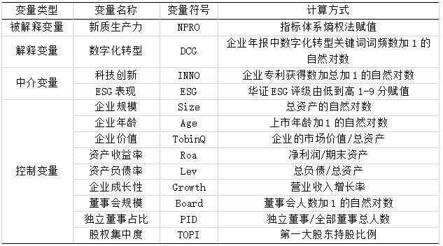 表1 主要变量定义
