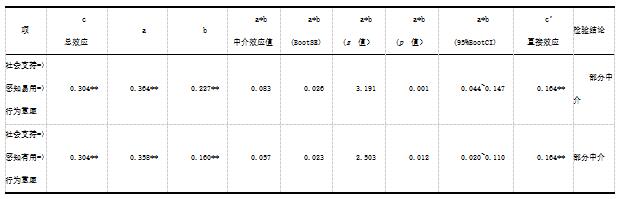 表4 社会支持的中介作用检验结果汇总