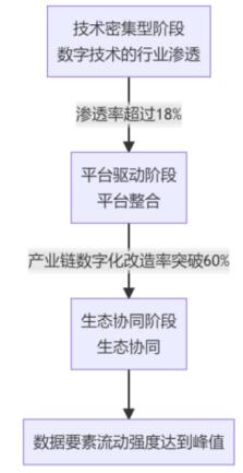 图1   数字产业集聚形成机制流程图