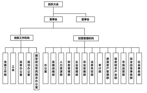 ͼ1  �����ũҵ�ɷ����޹�˾��֯�ܹ�ͼ