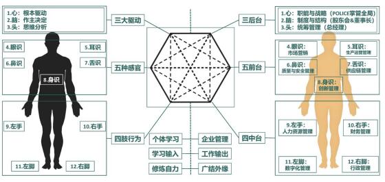 图1 个体学习与企业管理双向赋能345交互模型