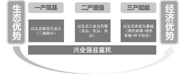 图 1 “134”产业体系逻辑图(资料来源:作者自制)
