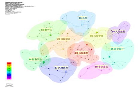 图3 数字化转型风险研究的聚类图谱